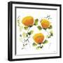 Blissful Blooms III-Jean Picton-Framed Giclee Print