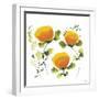 Blissful Blooms III-Jean Picton-Framed Giclee Print