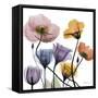Blissful Garden 2-Albert Koetsier-Framed Stretched Canvas