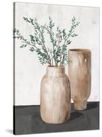 Blissful Vases-Isabelle Z-Stretched Canvas