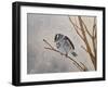 Blizzard Cutie-Angeles M Pomata-Framed Giclee Print