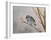 Blizzard Cutie-Angeles M Pomata-Framed Giclee Print