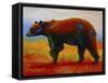 Blk Bear-Marion Rose-Framed Stretched Canvas