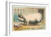 Bloated Pig-null-Framed Art Print