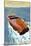 Block Island, Rhode Island, Chris Craft Boat-Lantern Press-Mounted Art Print