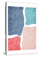 Blocked 2-Kimberly Allen-Stretched Canvas