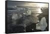 Blocks of ice, Diamond Beach, Jokulsarlon, Iceland, Polar Regions-Sergio Pitamitz-Framed Stretched Canvas