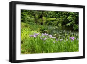 Bloedel Reserve I-George Johnson-Framed Photographic Print