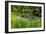 Bloedel Reserve I-George Johnson-Framed Photographic Print