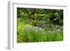 Bloedel Reserve I-George Johnson-Framed Photographic Print