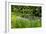 Bloedel Reserve I-George Johnson-Framed Photographic Print