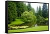 Bloedel Reserve II-George Johnson-Framed Stretched Canvas