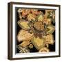 Bloem III-Augustine-Framed Giclee Print