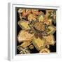 Bloem III-Augustine-Framed Giclee Print