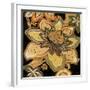 Bloem III-Augustine-Framed Giclee Print