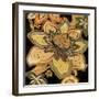 Bloem III-Augustine-Framed Giclee Print