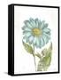 Bloemen Boek II on White-Sue Schlabach-Framed Stretched Canvas