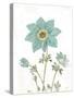 Bloemen Boek III on White-Sue Schlabach-Stretched Canvas