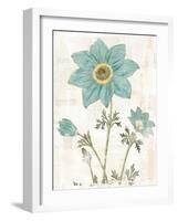 Bloemen Boek III-Sue Schlabach-Framed Art Print