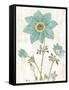 Bloemen Boek III-Sue Schlabach-Framed Stretched Canvas