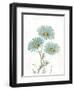 Bloemen Boek IV on White-Sue Schlabach-Framed Art Print