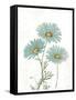 Bloemen Boek IV on White-Sue Schlabach-Framed Stretched Canvas