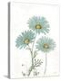 Bloemen Boek IV on White-Sue Schlabach-Stretched Canvas