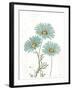 Bloemen Boek IV on White-Sue Schlabach-Framed Art Print