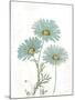 Bloemen Boek IV on White-Sue Schlabach-Mounted Art Print