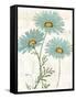 Bloemen Boek IV-Sue Schlabach-Framed Stretched Canvas