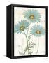 Bloemen Boek IV-Sue Schlabach-Framed Stretched Canvas