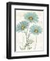 Bloemen Boek IV-Sue Schlabach-Framed Art Print