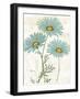 Bloemen Boek IV-Sue Schlabach-Framed Art Print