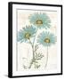 Bloemen Boek IV-Sue Schlabach-Framed Art Print