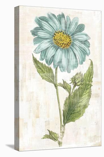 Bloemen Boek VI-Sue Schlabach-Stretched Canvas