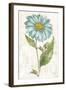 Bloemen Boek VI-Sue Schlabach-Framed Art Print