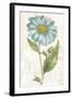 Bloemen Boek VI-Sue Schlabach-Framed Art Print