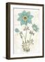 Bloemen Boek VII-Sue Schlabach-Framed Art Print