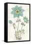 Bloemen Boek VII-Sue Schlabach-Framed Stretched Canvas