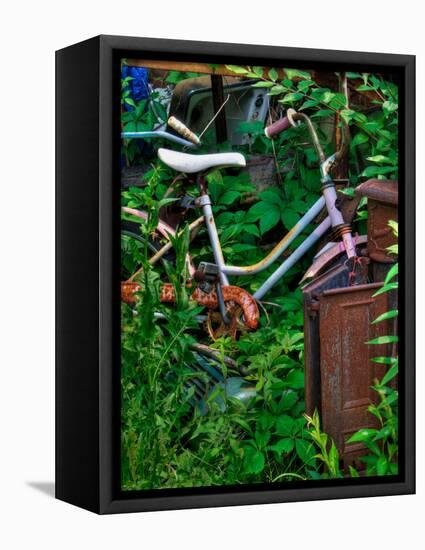 Blogcube-Jim Crotty-Framed Stretched Canvas