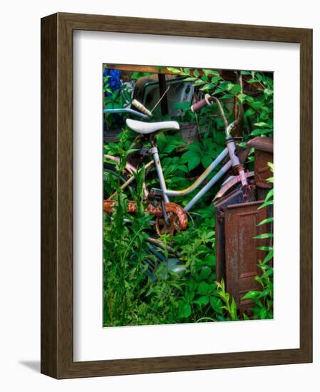 Blogcube-Jim Crotty-Framed Photographic Print