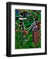 Blogcube-Jim Crotty-Framed Photographic Print