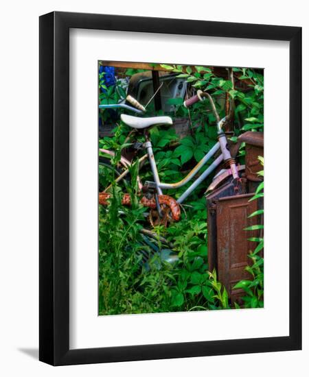Blogcube-Jim Crotty-Framed Photographic Print