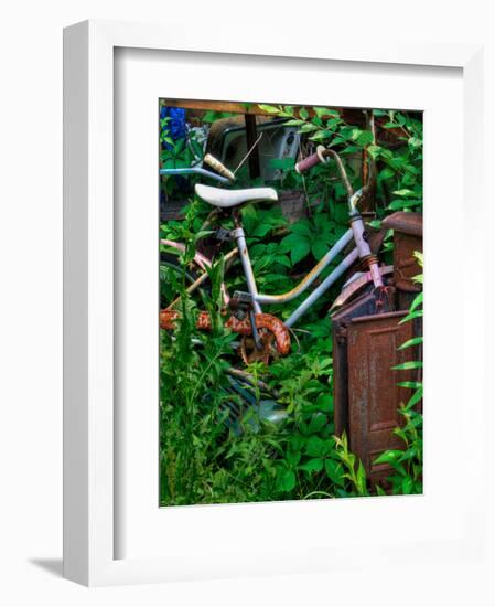 Blogcube-Jim Crotty-Framed Photographic Print
