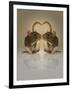 Blogpoint-Lynne Davies-Framed Photographic Print