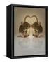 Blogpoint-Lynne Davies-Framed Stretched Canvas