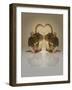 Blogpoint-Lynne Davies-Framed Photographic Print