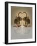 Blogpoint-Lynne Davies-Framed Photographic Print