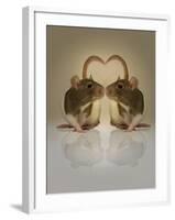 Blogpoint-Lynne Davies-Framed Photographic Print