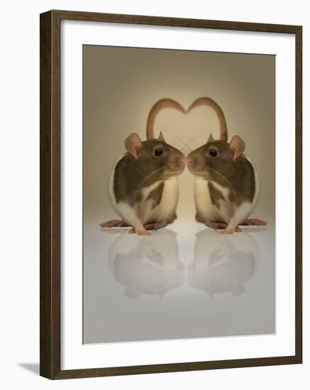 Blogpoint-Lynne Davies-Framed Photographic Print